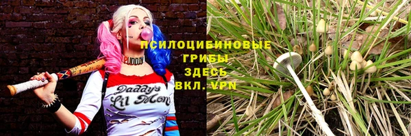 mdpv Верея