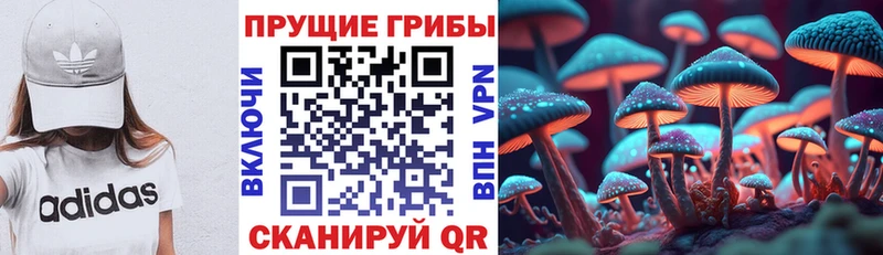 Псилоцибиновые грибы GOLDEN TEACHER  Губаха 